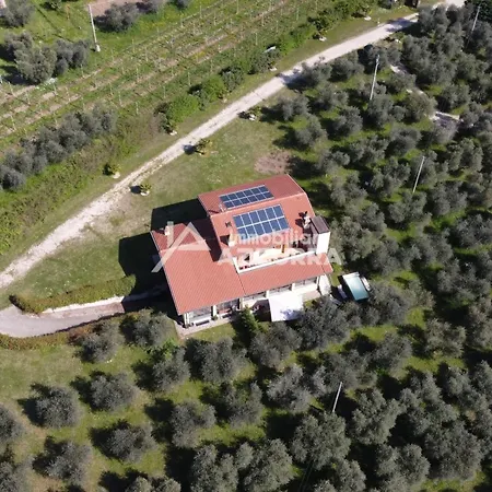 Casa vacanze I Roccoli- Zwischen Olivenbaeumen Mit Priva By Interhome Bardolino